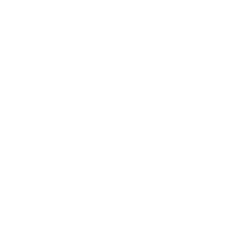 Security Icon